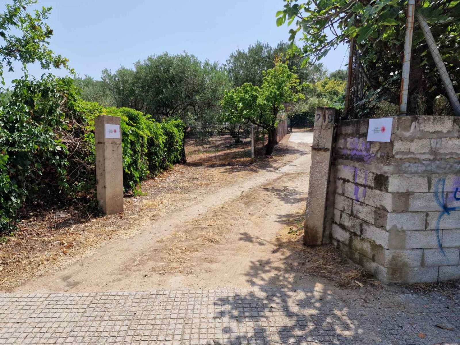 Stella'S Garden Villa PalaiónTsiflíkion Dış mekan fotoğraf