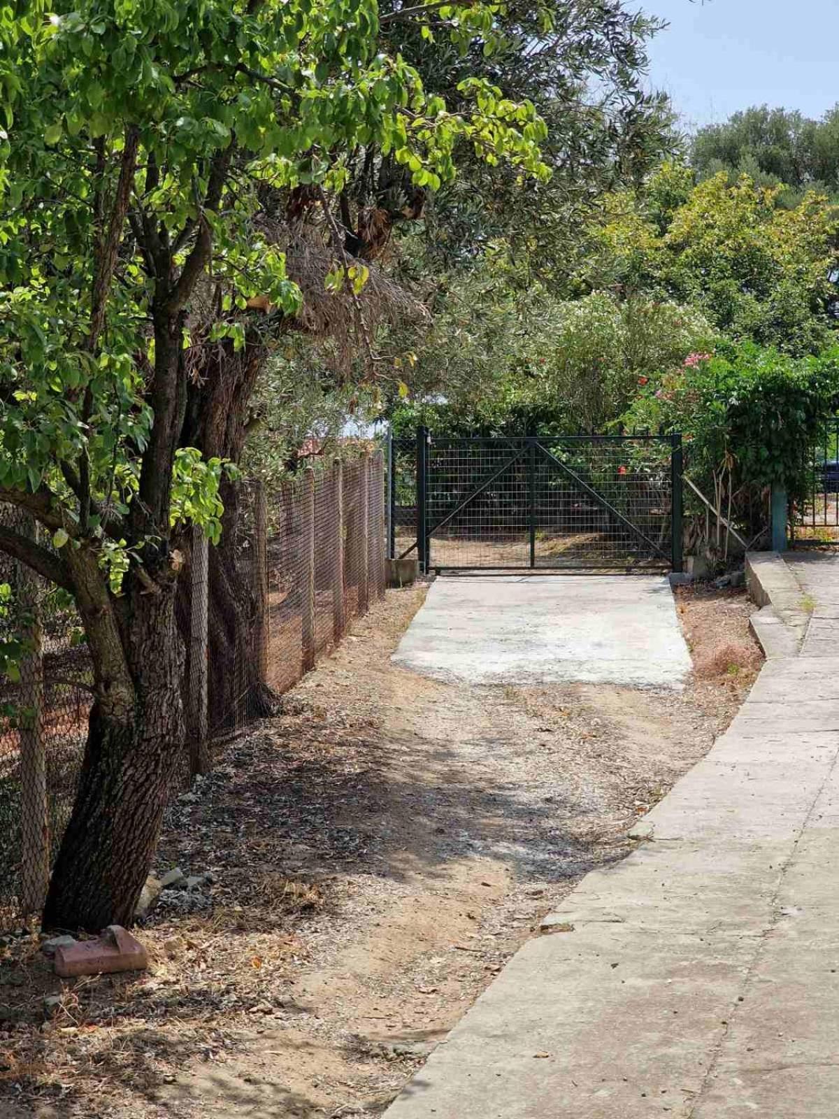 Stella'S Garden Villa PalaiónTsiflíkion Dış mekan fotoğraf